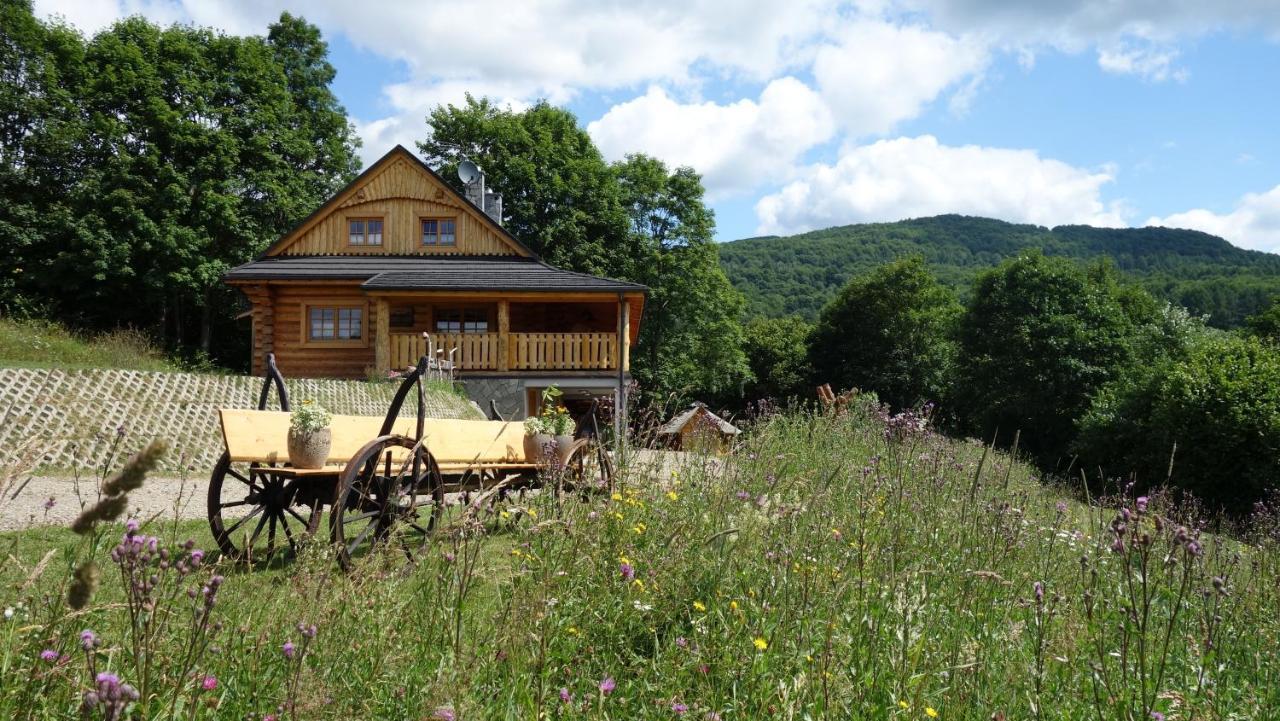 Bieszczadzkie Marzenie Wetlina Hotel Exterior photo